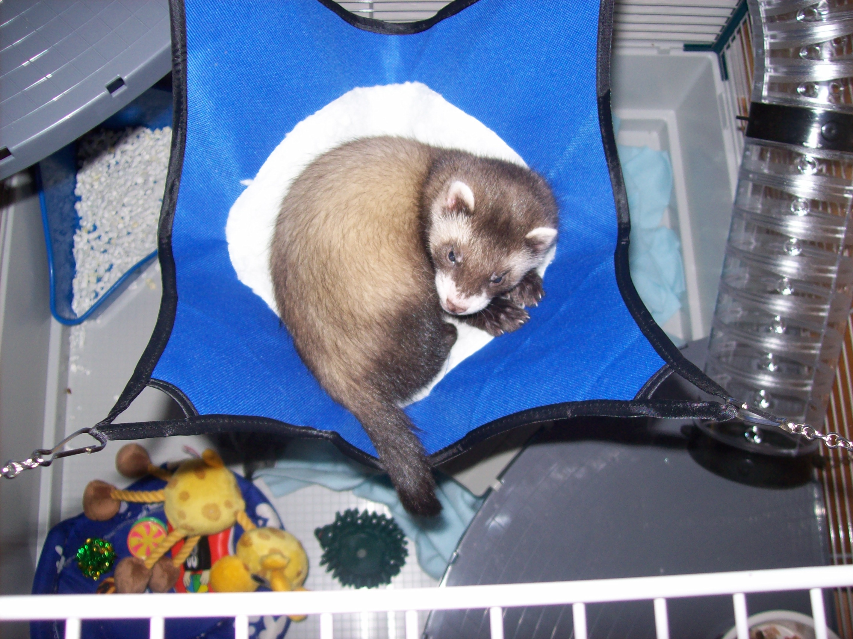 hamaka